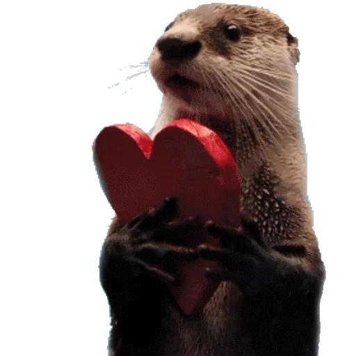 VidroMemi_Part2 sticker 70