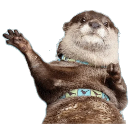 VidroMemi_Part2 sticker 72