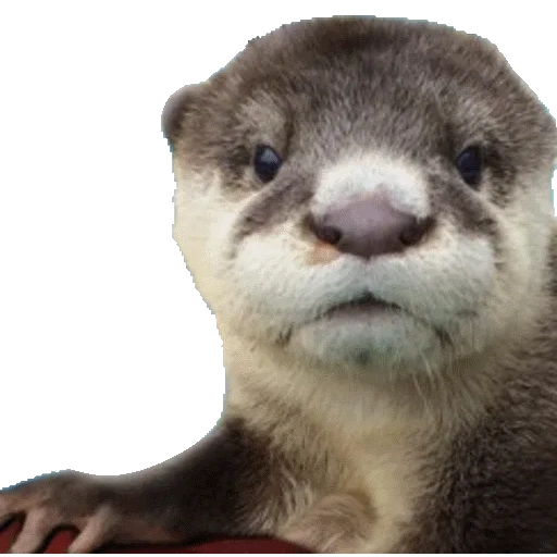 VidroMemi_Part2 sticker 74