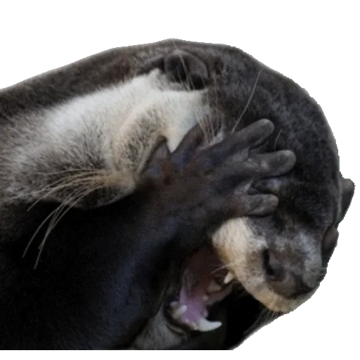 VidroMemi_Part2 sticker 76