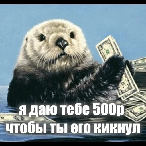 VidroMemi_Part2 sticker 80