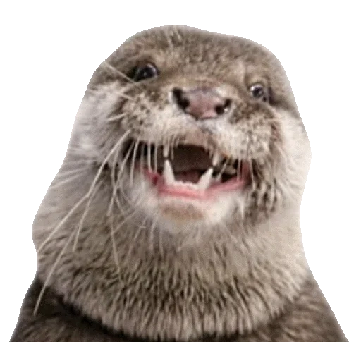 VidroMemi_Part2 sticker 81