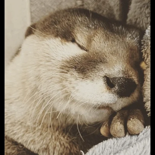 VidroMemi_Part2 sticker 82