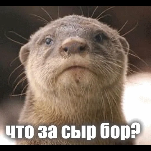 VidroMemi_Part2 sticker 85