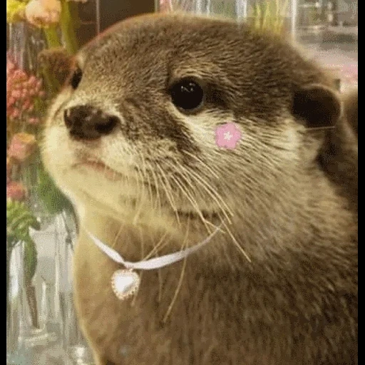 VidroMemi_Part2 sticker 88