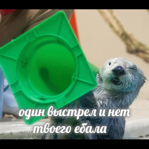 VidroMemi_Part2 sticker 10