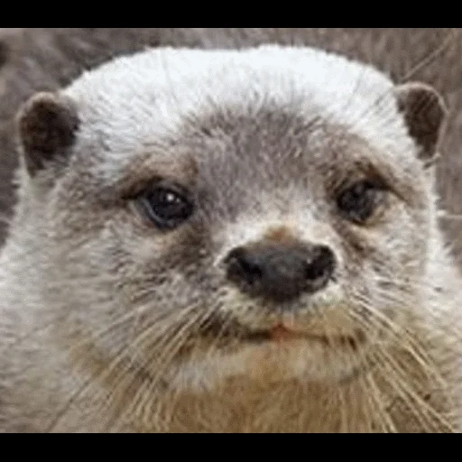 VidroMemi_Part2 sticker 91