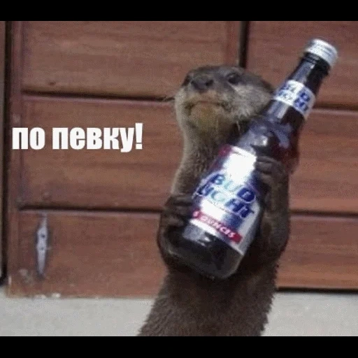 VidroMemi_Part2 sticker 92