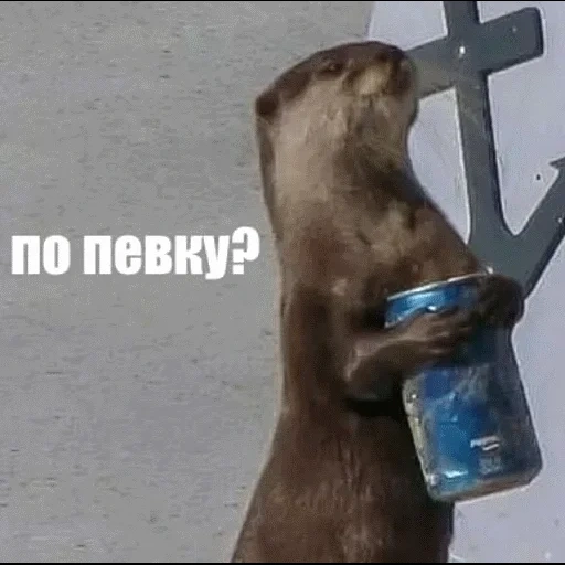 VidroMemi_Part2 sticker 93