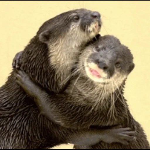 VidroMemi_Part2 sticker 99