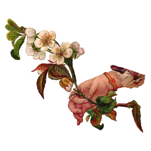 vintage postcard sticker 11