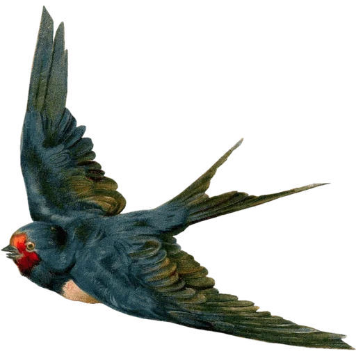 vintage postcard sticker 101