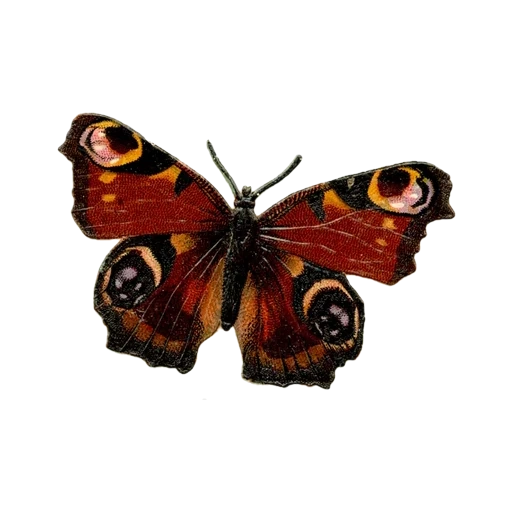 vintage postcard sticker 102