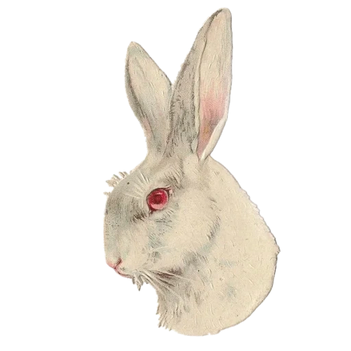 vintage postcard sticker 112