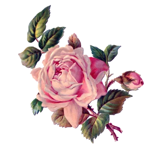 vintage postcard sticker 14