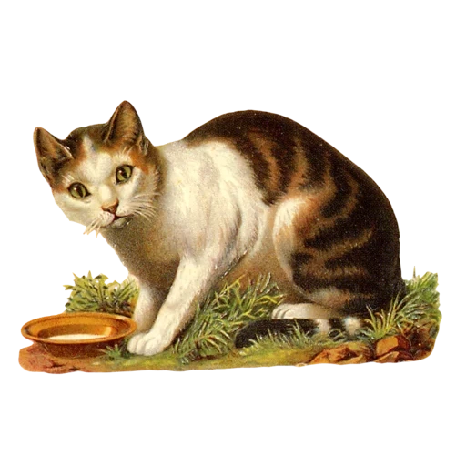 vintage postcard sticker 18