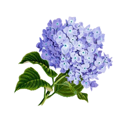 vintage postcard sticker 3