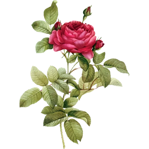 vintage postcard sticker 30