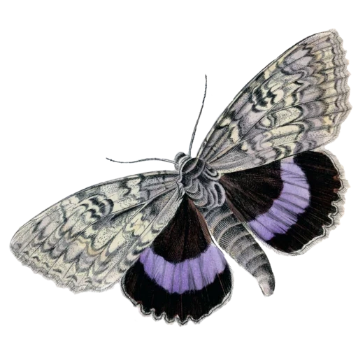 vintage postcard sticker 34