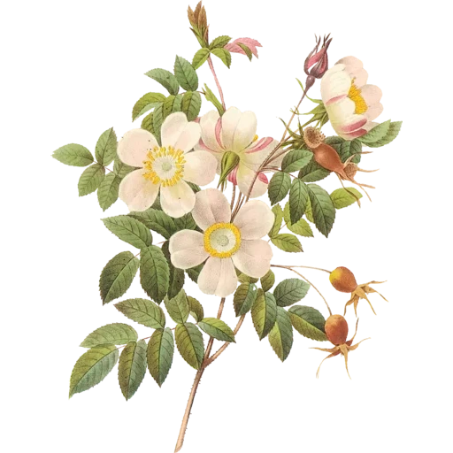 vintage postcard sticker 37