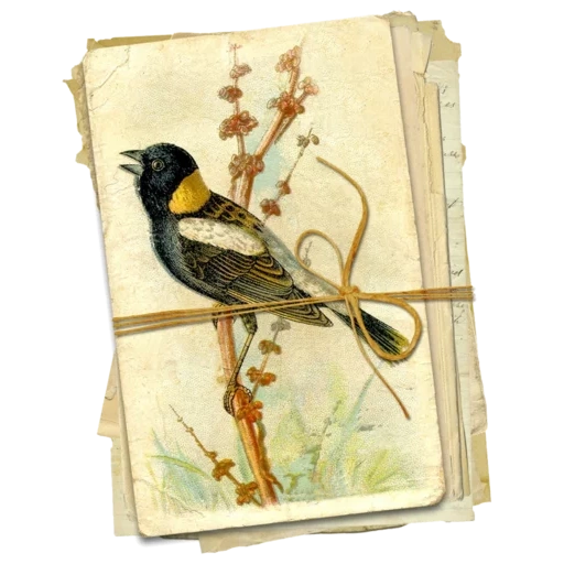 vintage postcard sticker 46