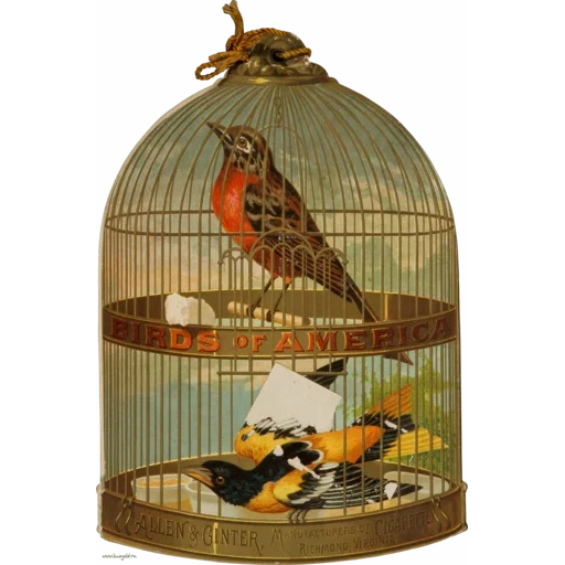 vintage postcard sticker 64