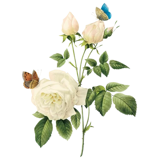 vintage postcard sticker 65