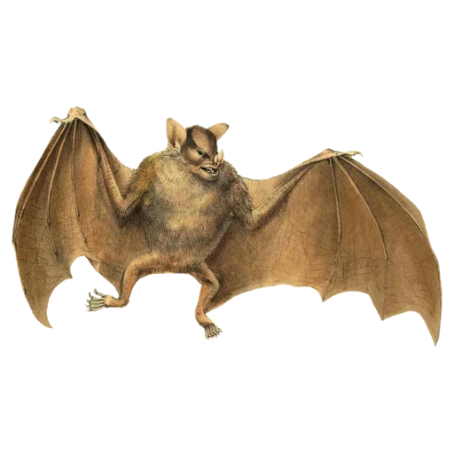 vintage postcard sticker 76