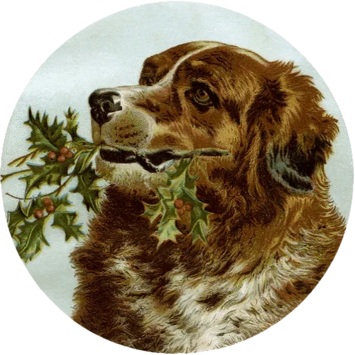 vintage postcard sticker 77