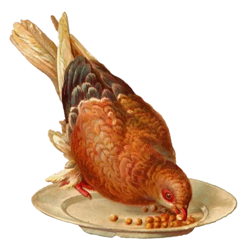 vintage postcard sticker 81