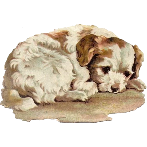 vintage postcard sticker 84