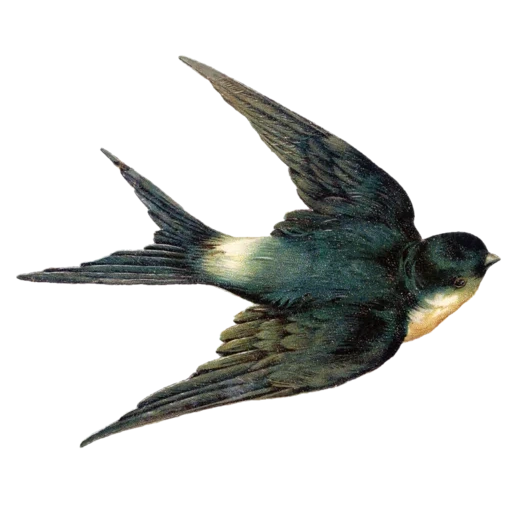 vintage postcard sticker 91