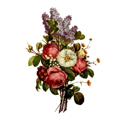 vintage postcard sticker 97