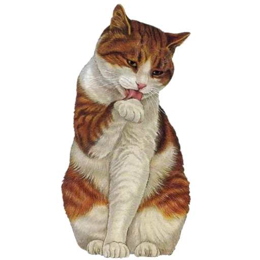 vintage postcard sticker 98