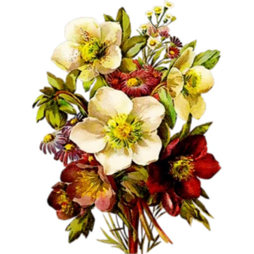 Vintagncvety sticker 25