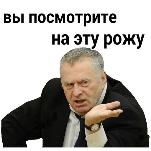 Владимир Вольфович Ж sticker 11