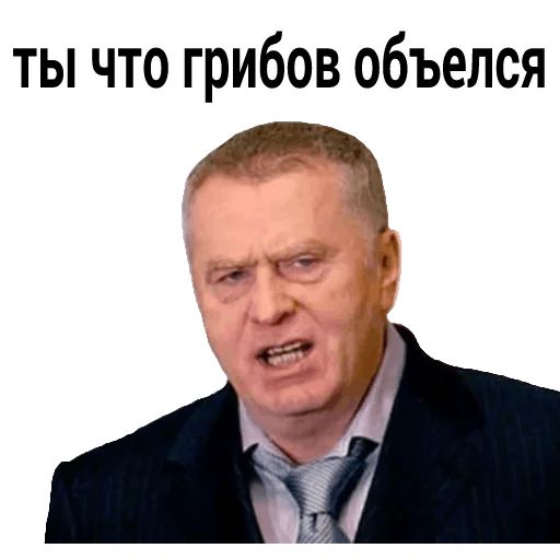 Владимир Вольфович Ж sticker 12