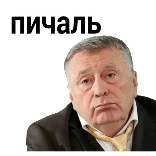 Владимир Вольфович Ж sticker 13