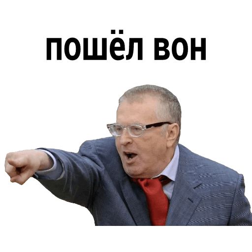 Владимир Вольфович Ж sticker 15