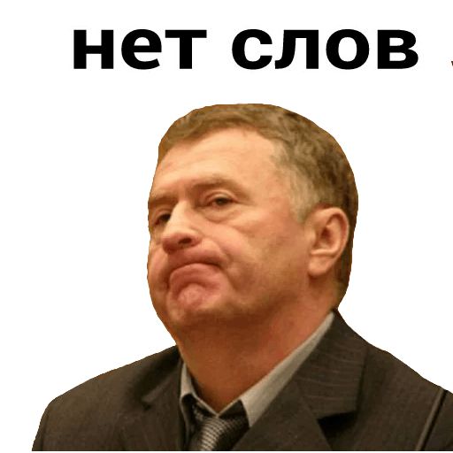 Владимир Вольфович Ж sticker 3