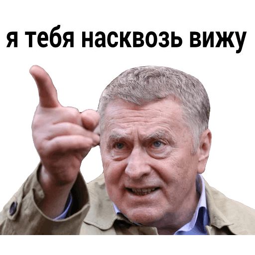 Владимир Вольфович Ж sticker 6