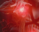 wandamxmff sticker 24