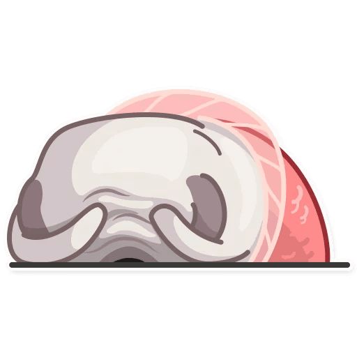 Water Pug sticker 23